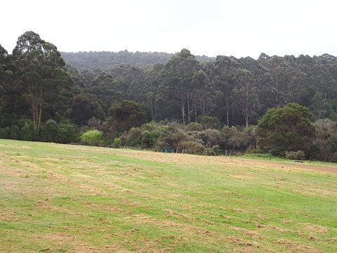 Walpole Wilderness Resort - Hotel Accommodation 4