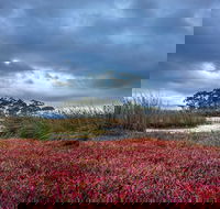 Saintys Creek Cottage - Hotel Accommodation