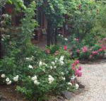 Maldons Eaglehawk Motel - Hotel Accommodation