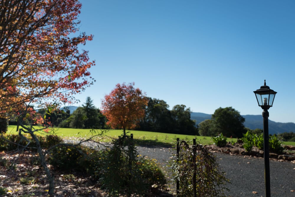 Bielsdown Hills NSW Hotel Accommodation