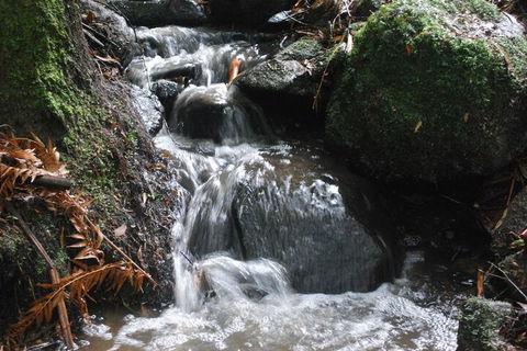 Rocky Creek Art Garden B&B - Hotel Accommodation 4
