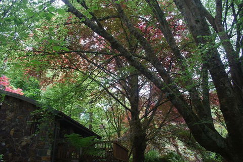 Rocky Creek Art Garden B&B - Hotel Accommodation 2