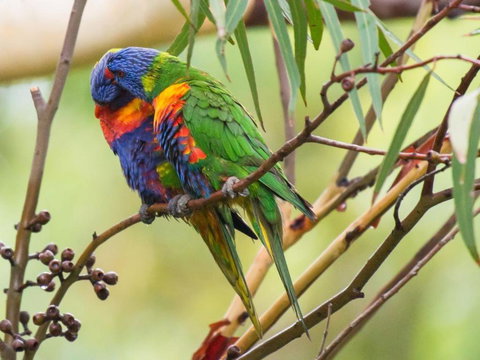 Waterfront Jervis Bay Escape Cooinda - Hotel Accommodation 1