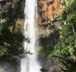 Purling Brook Falls Gwongorella - Hotel Accommodation