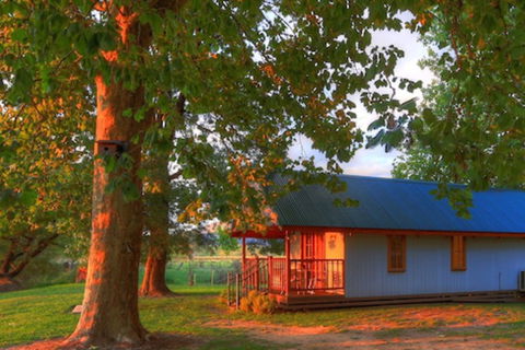 Colac Colac Caravan Park - Hotel Accommodation 5