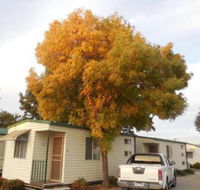 Wodonga Caravan  Cabin Park - Hotel Accommodation