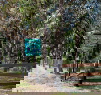 Blueberry Hills On Comleroy - Hotel Accommodation