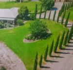 Gaerwood B  B - Hotel Accommodation