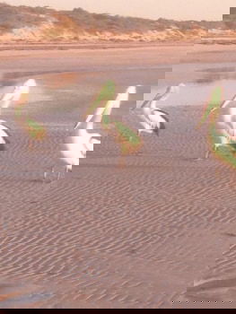 Perlubie Sea - Hotel Accommodation 6