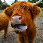 Boodarockin WA Hotel Accommodation