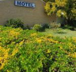Esk Motel - Hotel Accommodation