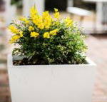 Esperance Coastal Retreat - Hotel Accommodation