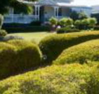 Whiskey Gully Wines - Hotel Accommodation