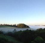 Montville House on the Hill - Hotel Accommodation