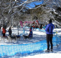 Cloud 9 Alpine Lodge - Hotel Accommodation