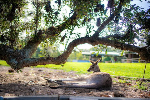 Waterfall Springs Retreat And Wildlife Sanctuary - Hotel Accommodation 5