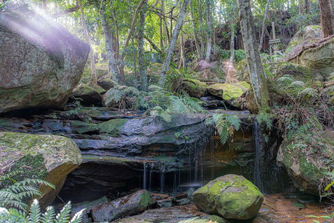 Waterfall Springs Retreat And Wildlife Sanctuary - Hotel Accommodation 3