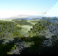 Montville Holiday House - Hotel Accommodation