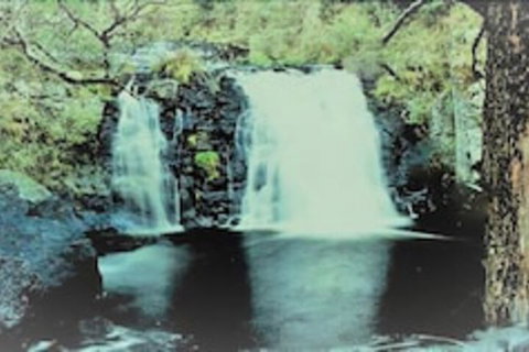 Little Styx Cabins - Hotel Accommodation 4