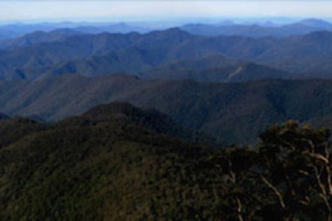 Little Styx Cabins - Hotel Accommodation 1