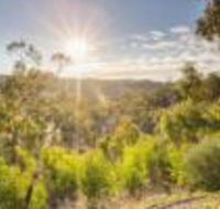 Skillogalee - Hotel Accommodation