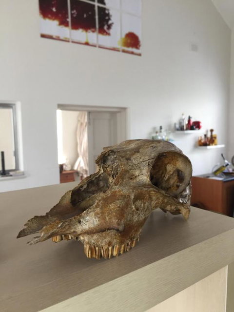 The Church Retreat - Hotel Accommodation 5