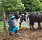 Manderley Park Farmstay B  B - Hotel Accommodation