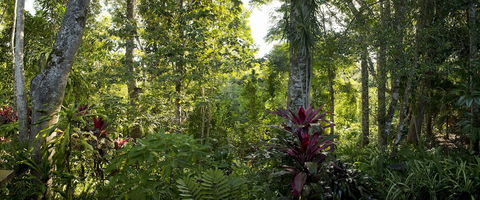 Sharlynn By The River - Hotel Accommodation 5