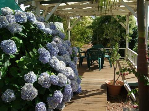 Nannup Riverview Cottage - Hotel Accommodation 3