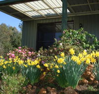 Nannup Riverview Cottage - Hotel Accommodation