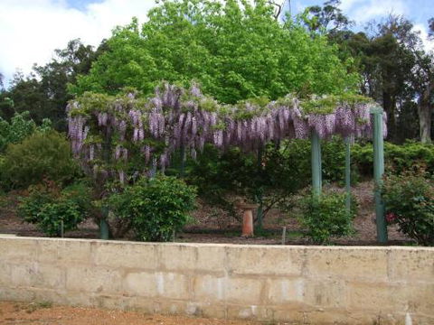 Nannup Riverview Cottage - Hotel Accommodation 5