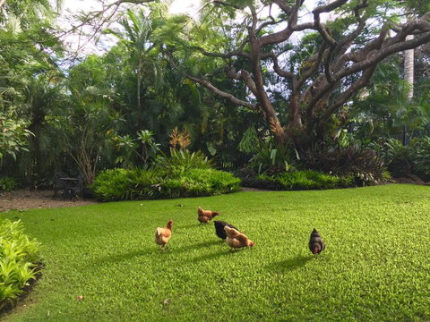 Eden Rest - Hotel Accommodation 1