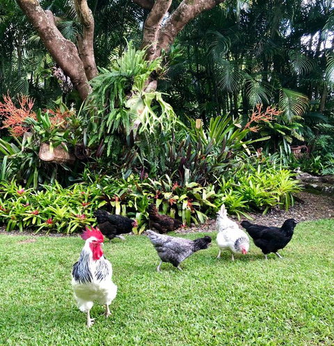 Eden Rest - Hotel Accommodation 3