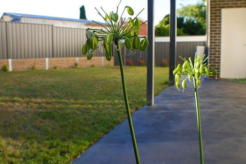 Maison Executive - Hotel Accommodation 3