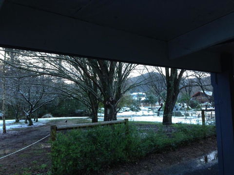 Goldberryaccommodation - Hotel Accommodation 2