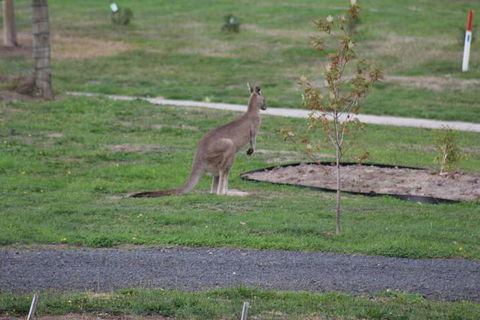 Nyora Lodge B & B - Hotel Accommodation 7