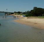Black Dolphin Waterfront Apartment - Hotel Accommodation
