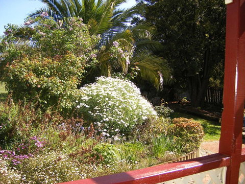 Belle Cottage - Hotel Accommodation 1