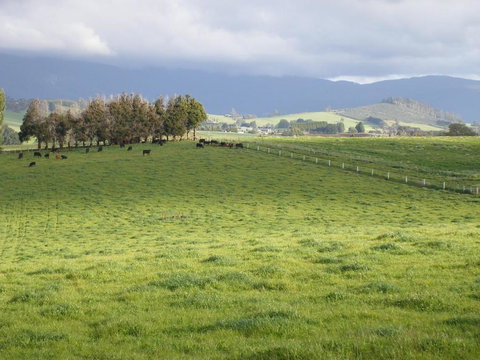 Belle Cottage - Hotel Accommodation 6