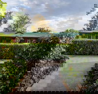 The Grapevine Motel - Hotel Accommodation