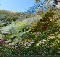 Copeland Manse - Hotel Accommodation