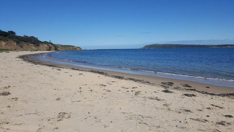 Beach Haven Caravan Park - Hotel Accommodation 1