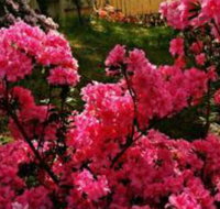 Mountain Escape - Hotel Accommodation