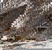 Mitchell - Hotel Accommodation