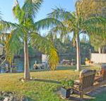 The Oasis on Jacobs Drive - Hotel Accommodation