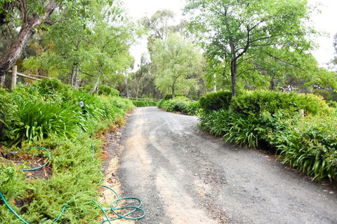 Avoca Park - Hotel Accommodation 4