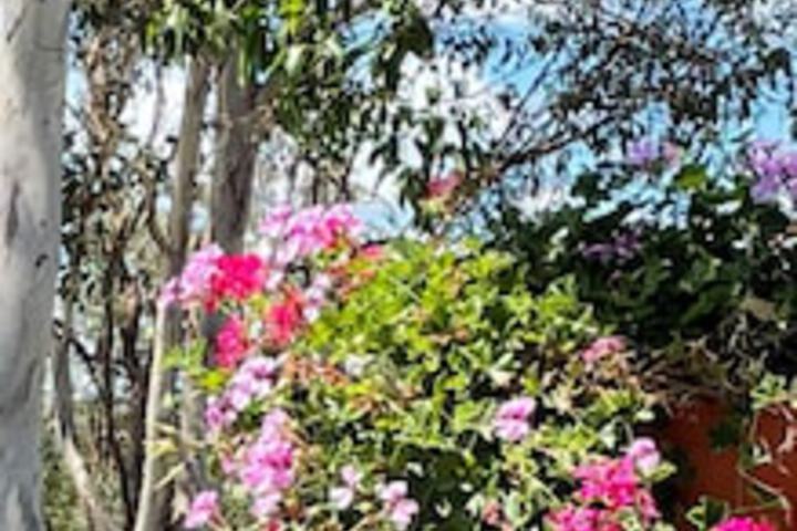 Pierces Creek QLD Hotel Accommodation