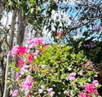 Crows Nest Motel - Hotel Accommodation