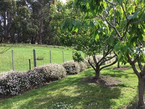 Nextdooratportarthur - Hotel Accommodation 1