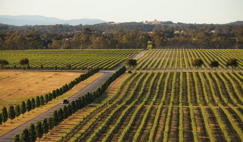 The Mitchelton Hotel Nagambie - MGallery By Sofitel - Hotel Accommodation 1